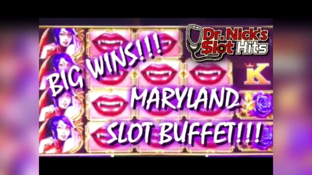 € 1885 Bonuscode zonder storting bij Hippozino Casino